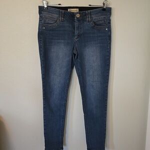 Democracy | Ab-solution Mid Rise Skinnies Size 12 Skinny Jeans